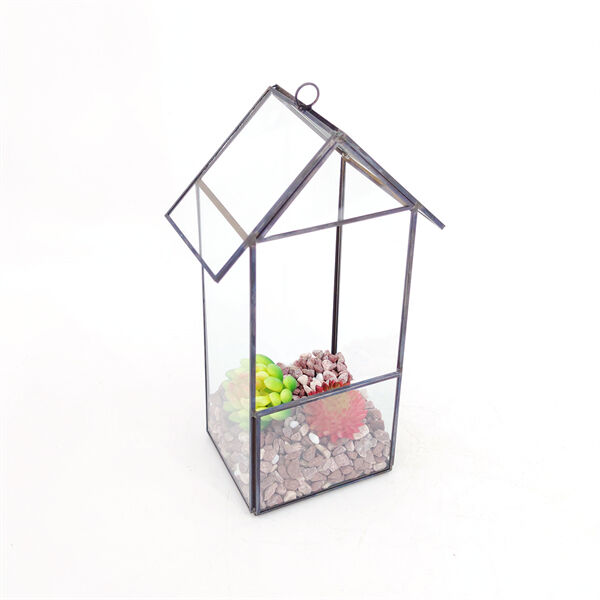 The Benefits of Terrarium Glass Containers