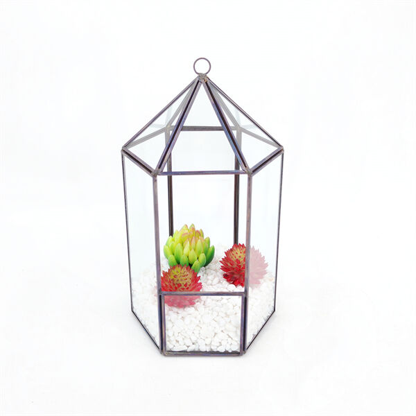 How Open Terrariums are Eco-Friendly and Stylish