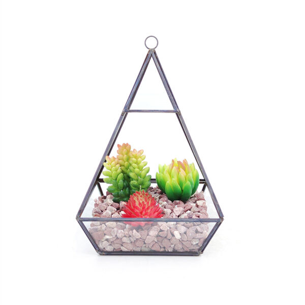 Care Instructions for Hanging Terrariums