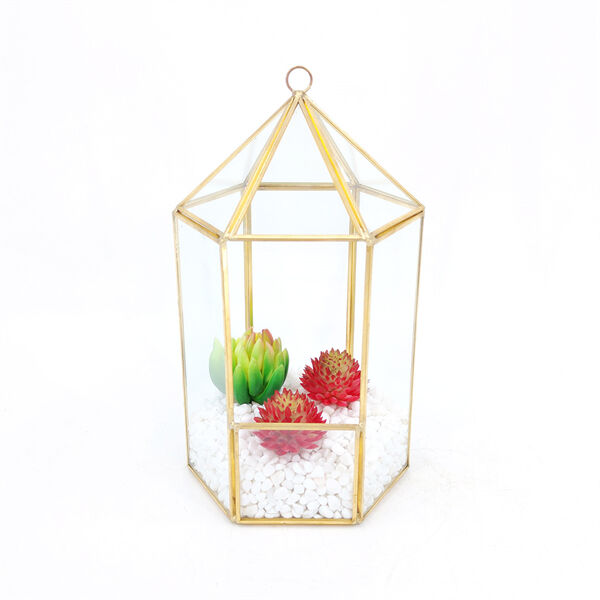 Reasons to Embrace the Open Terrarium Trend