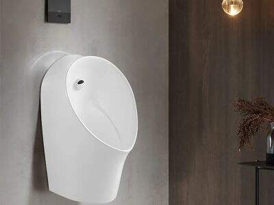 What Load Bearing Standards Apply to Wall-Mounted Urinal Toilet Units