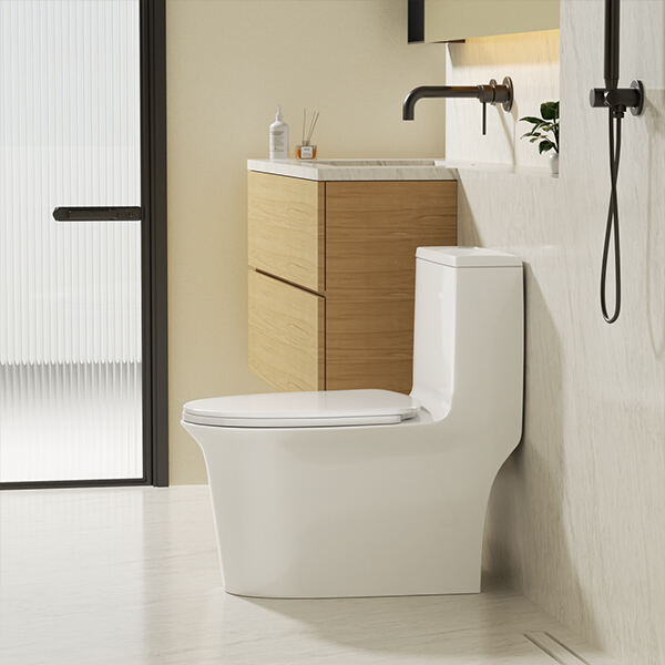 なぜ床置きトイレがあなたが必要とする解決策かもしれないのか
