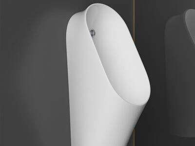 Why Urinal Toilet Surface Finish Influences Bacterial Retention Control