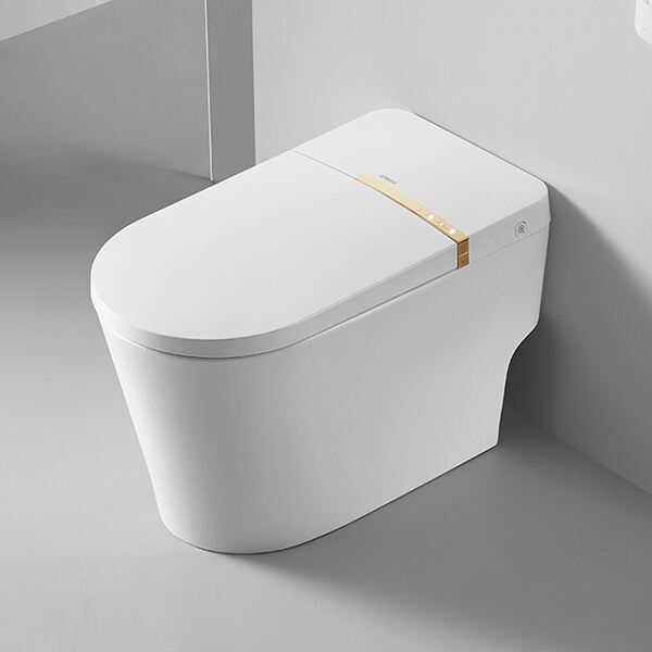 Benefits of owning a Smart Toilet Bowl