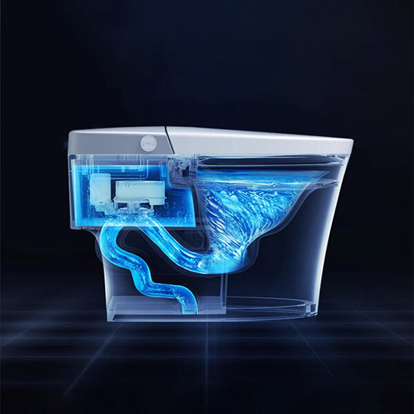 Elevate your daily routine with a smart toilet sea