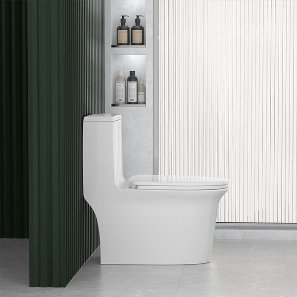 なぜ水効率のためにトイレボウルをアップグレードすべきか