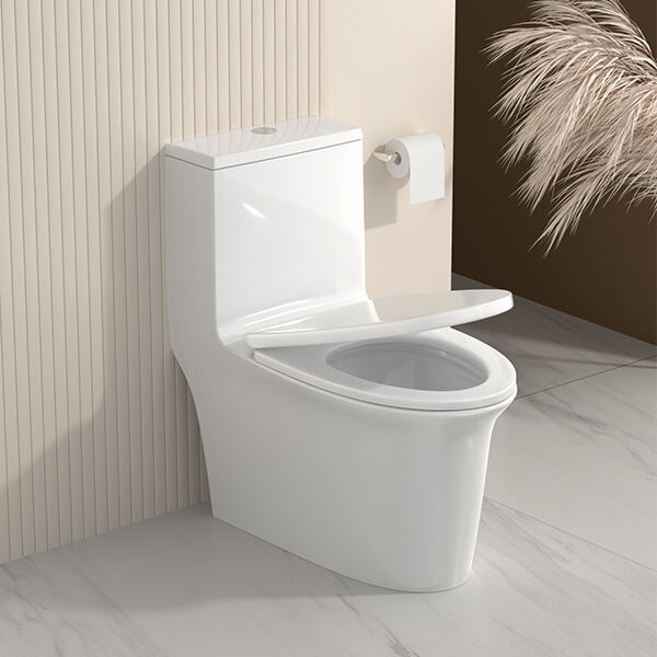 トイレボウルの菌に関する不快な真実と浴室を清潔に保つ方法