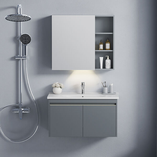 Affordable Bathroom Mirror and Cabinet Alternatives