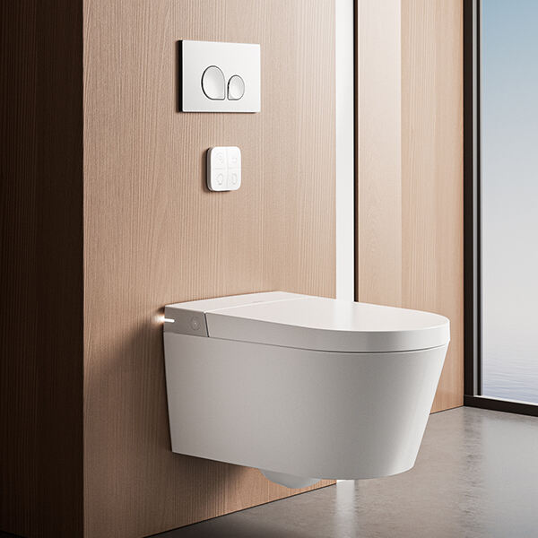 Save Time and Effort with Our High-Tech Toilet Sea