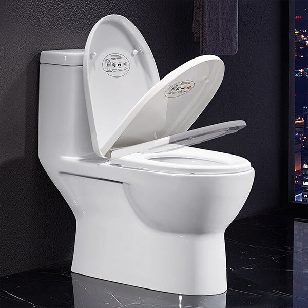 المزايا والسلبيات