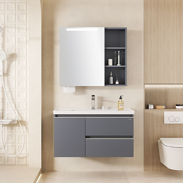 Vernieuw Je Badkamer met een Toilet Spiegelkast