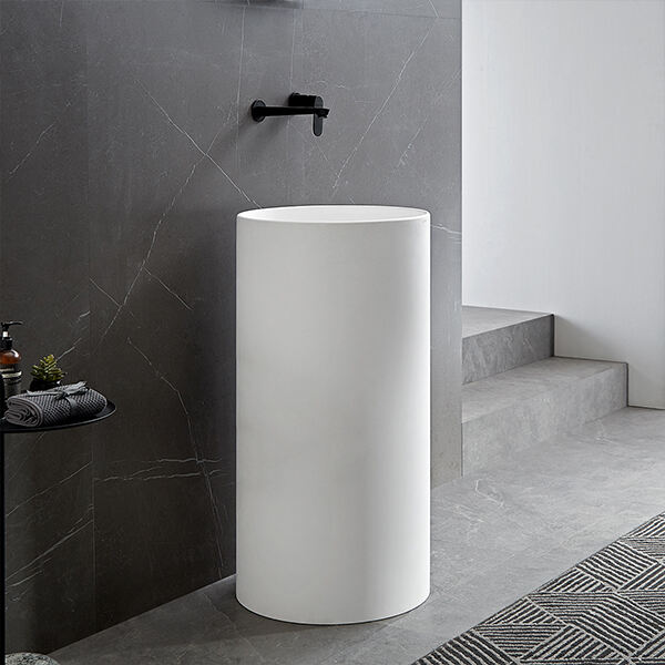 Experience Timeless Beauty with a Pedestal Basin