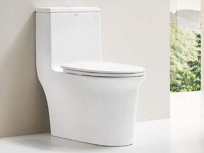 The Ultimate Guide to Toilet Types and Features