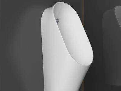 Why Urinal Toilet Surface Finish Influences Bacterial Retention Control