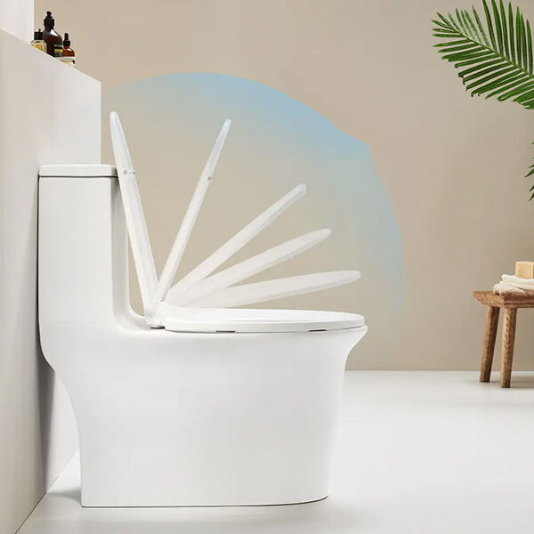 Save Water and Money with Energy-Efficient Bath Toilet Options