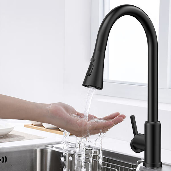 Stilili ve Fonksiyonel Lavabo Kranı
