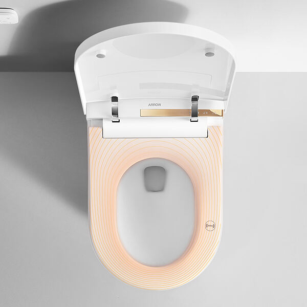 Features of a Smart Toilet Bowl