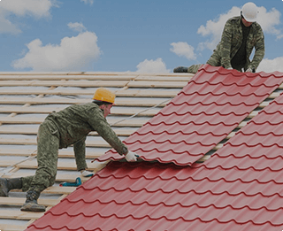 Vegetative Roofing