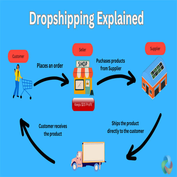 Dropshipping versus private labeling