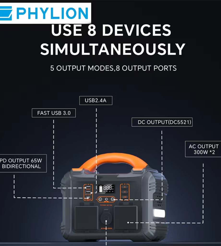 Versatile Charging Options with PHYLION Power Bank