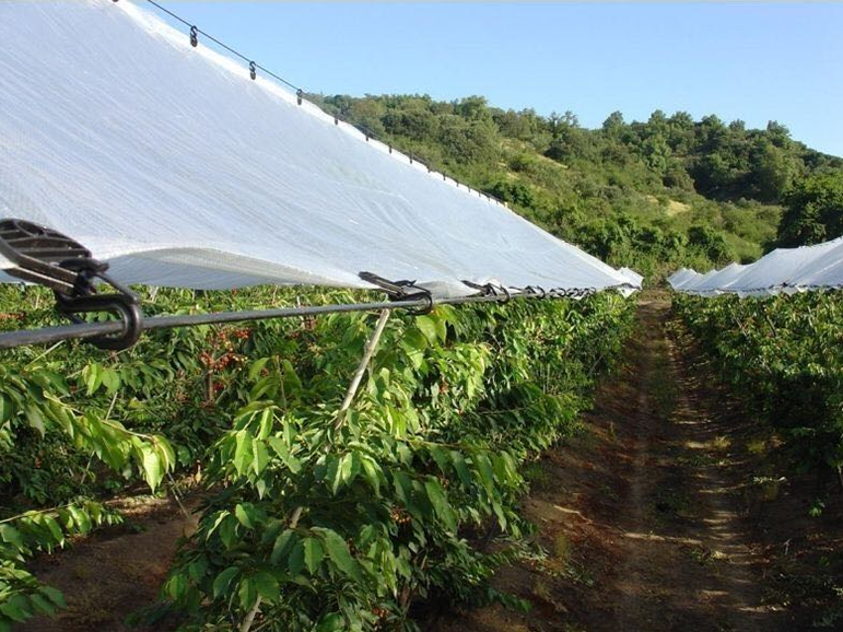 Agriculture Polyethylene Tarpaulin