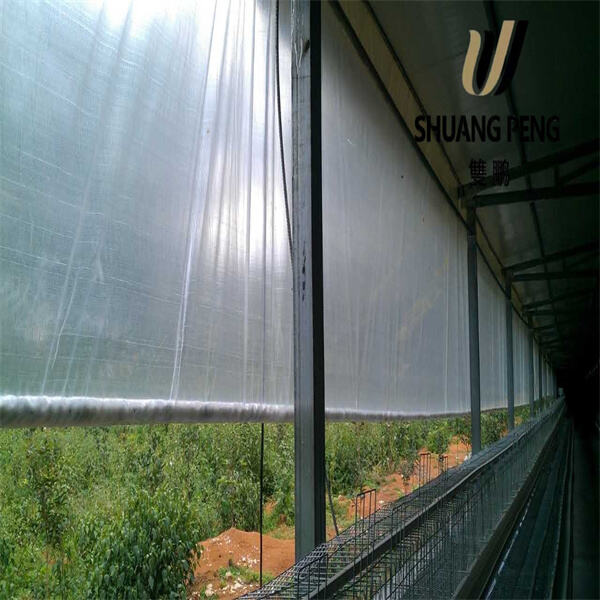 How to Install and Maintain Your Greenhouse Film"