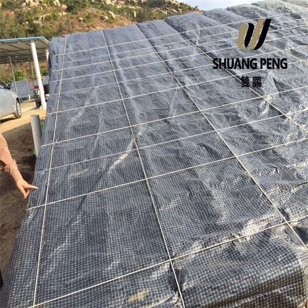 Temperature Control Made Easy with a Greenhouse Fabric Cover