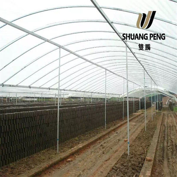 From keeping pests out to filtering sunlight.