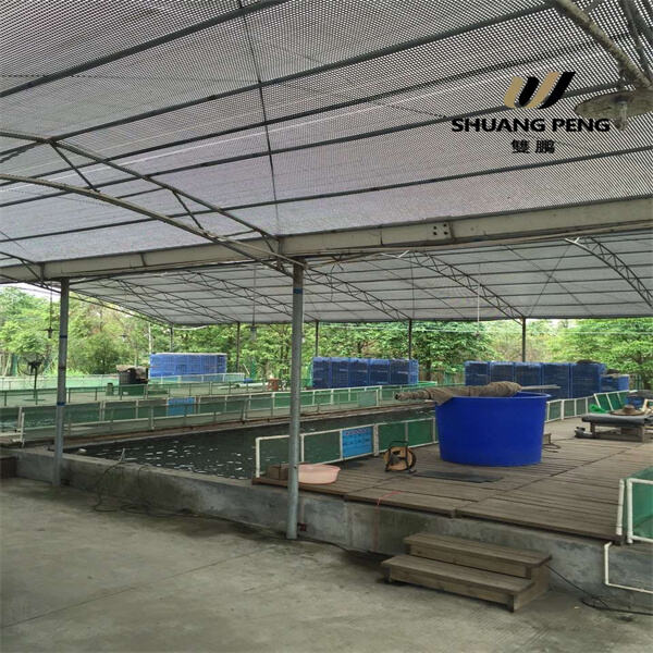 Explore Competitive Greenhouse Cloth Prices for Any Budge
