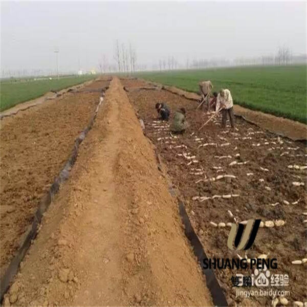 Efficient Solution for Drainage and Erosion Control with Geotex Membrane