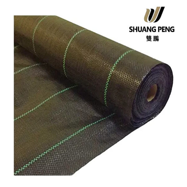 Chào Tạm Biệt Cỏ Dại Khó Chịu Một Lần Và Mãi Mãi!
