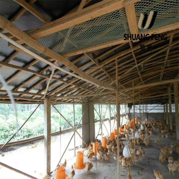 Discover the Strength and Durability of 200 Micron Polythene Sheet for Greenhouses