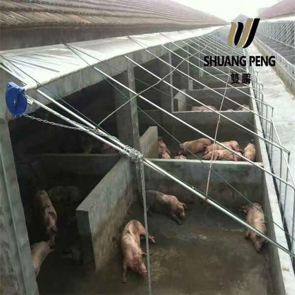 Keep Your Greenhouse Warm with 200 Micron Polythene Shee