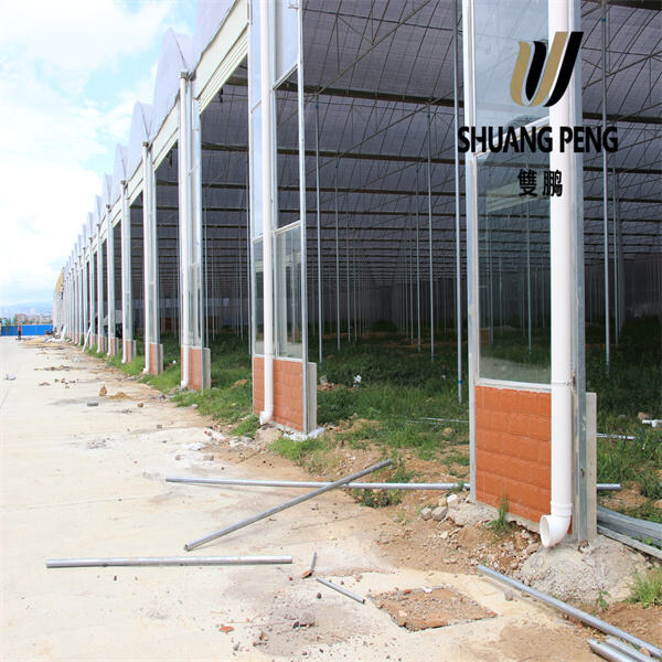 See Your Garden Thrive with the Clarity of Greenhouse Plastic Clear!"