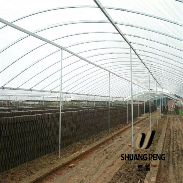 Revolutioneer Jou Plantproses met PE Groenhuis Geweefde Film Tegnologie