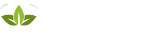 建站测试公司50