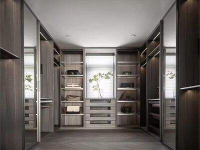 Why Modular Closet Designs Are Dominating the Furniture Market