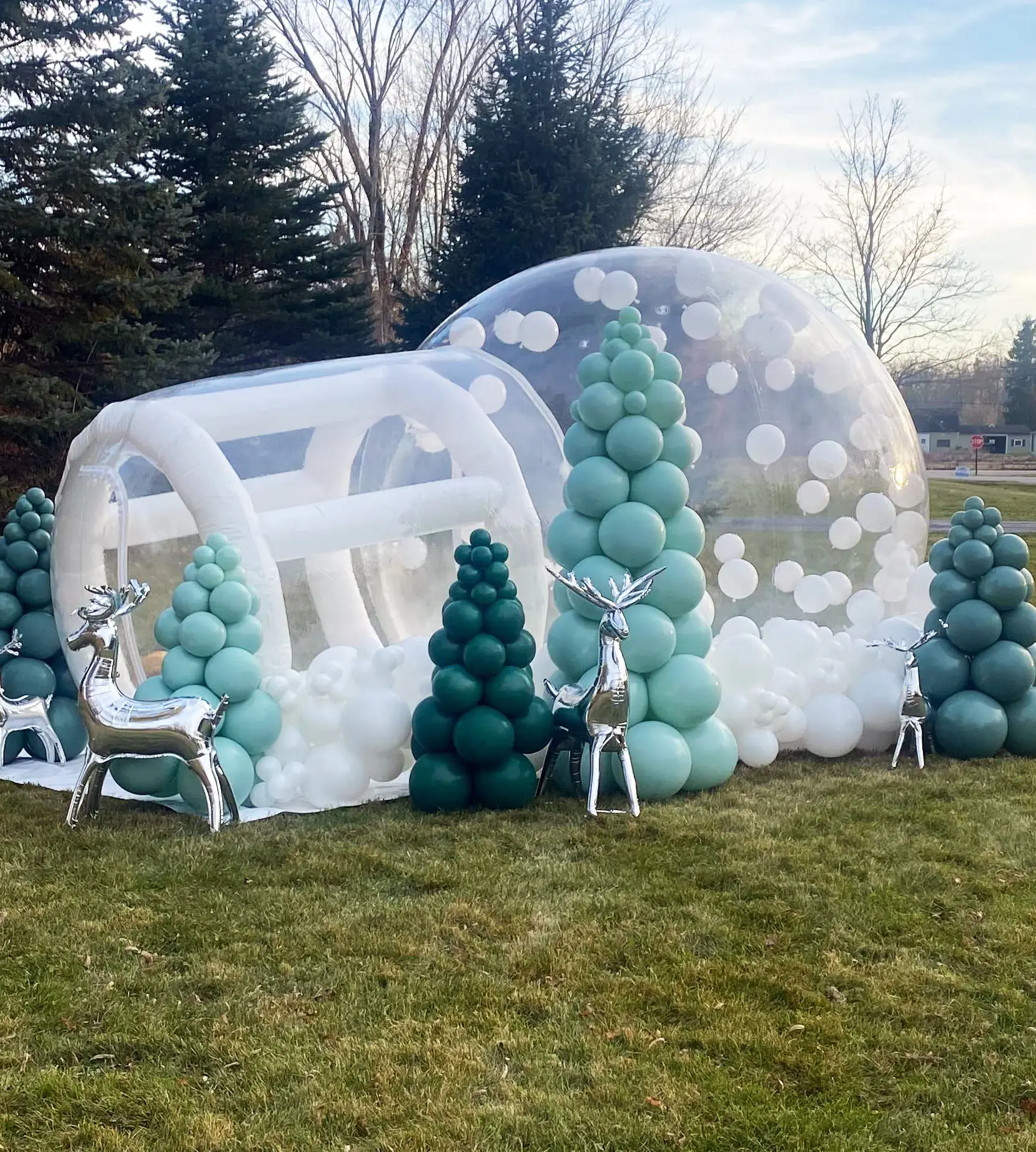 Joy Inflatable Inflatable Bubble Tent for Modern Event Spaces