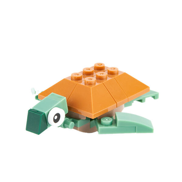 Possibilités infinies avec des ensembles de blocs micro mini