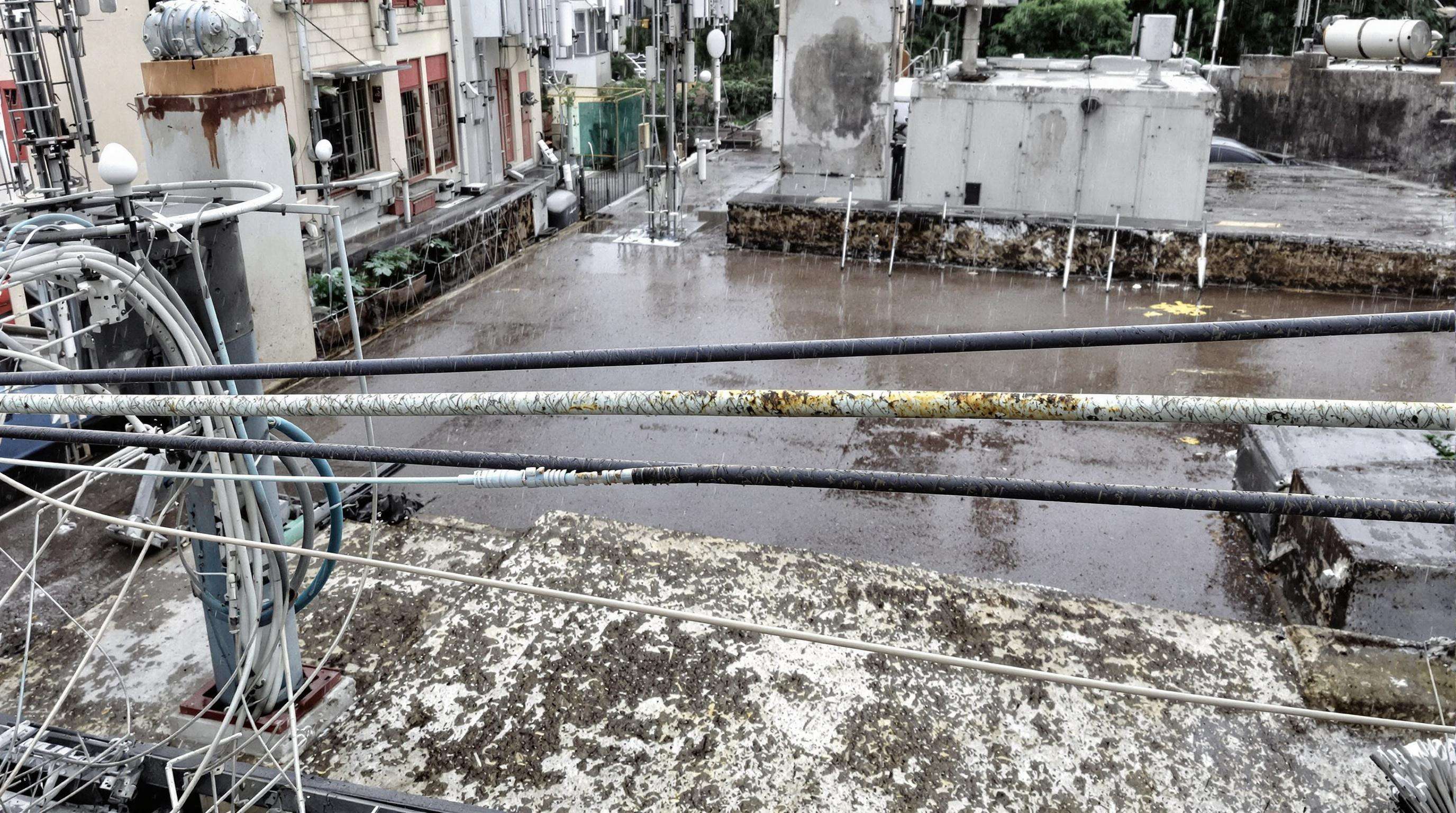 Urban rooftop network cables with visible corrosion on unjacketed CCA wire and intact copper wire in rainy conditions