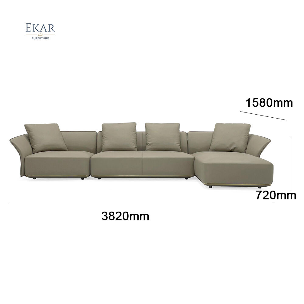 Contemporary Sophistication: New Design Sofa with Brushed Black Titanium Metallic Paint Legs manufacture