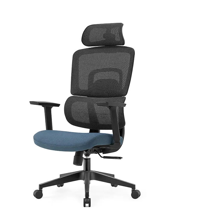 Transform Your Workspace with NOEL Ergonomic Office Chair