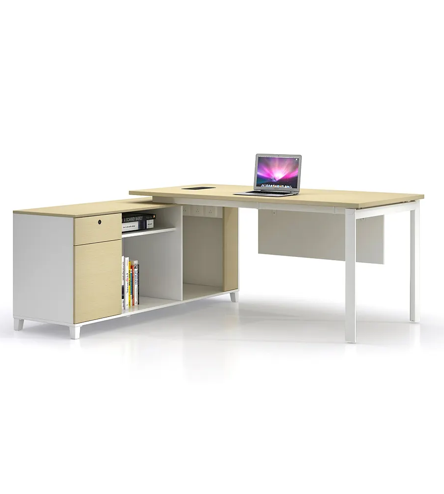 NOEL Versatile workstation desk for Any Office Setting