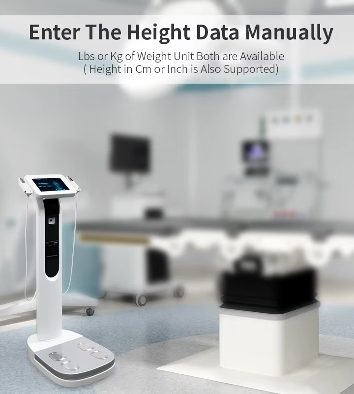 Comprehensive Body Metrics with Sonka Analyzer