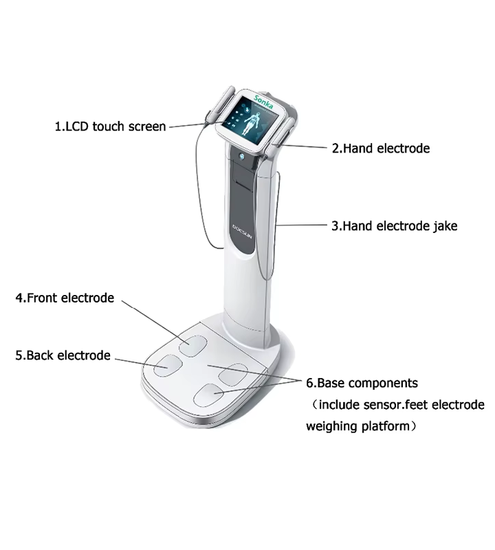 Precision Measurement with Sonka Body Composition Analyzer