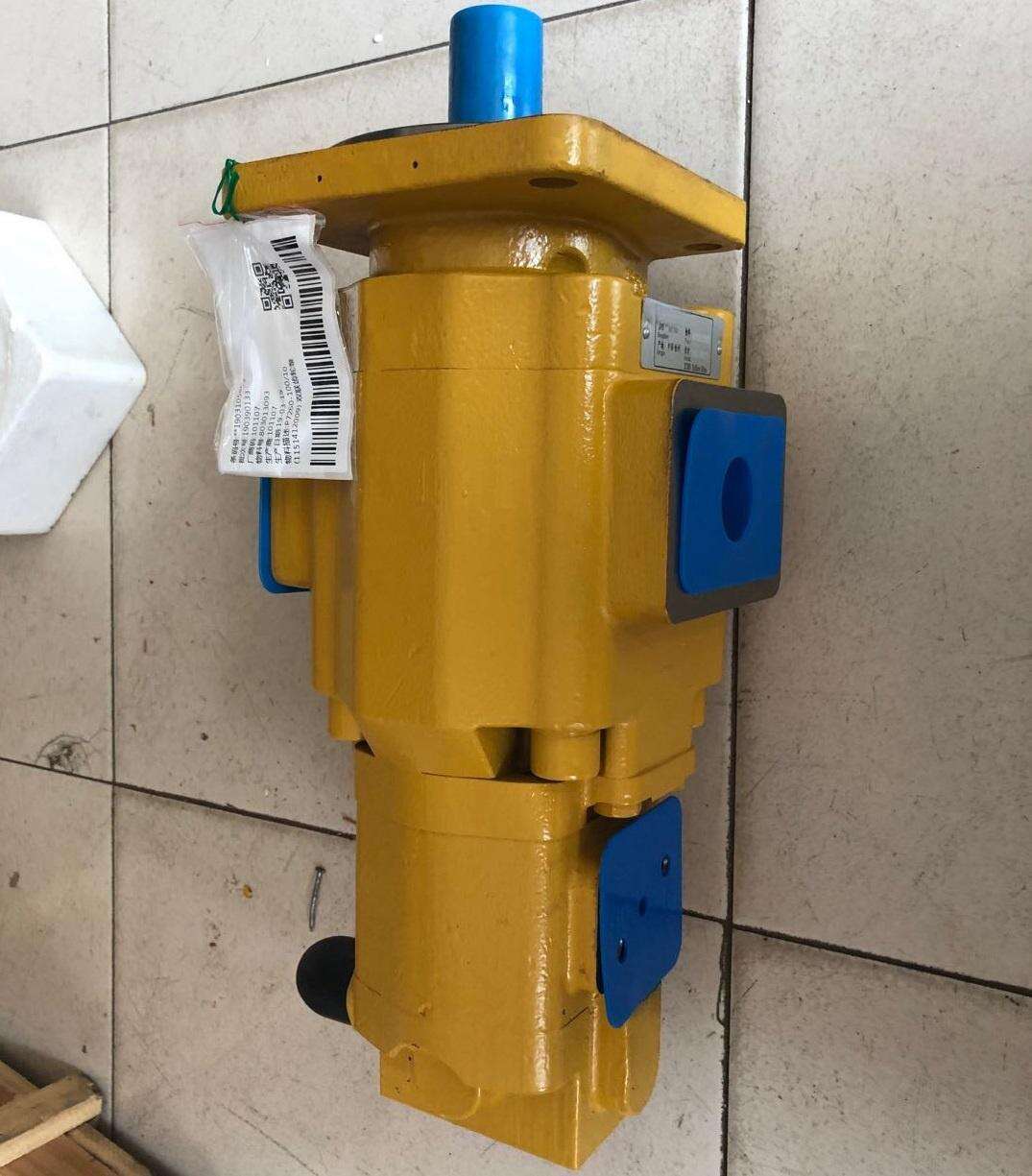 Hydraulic Pump 803013093 manufacture
