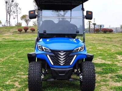 Customized 4 Seater Electric Golf Cart