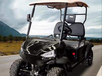 A Trusted Manufacturer of Golf Cart from China