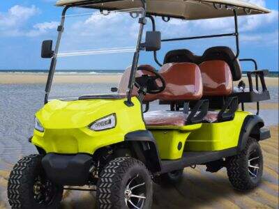 CE Certified 4-Passenger Hunting Buggy Golf Cart