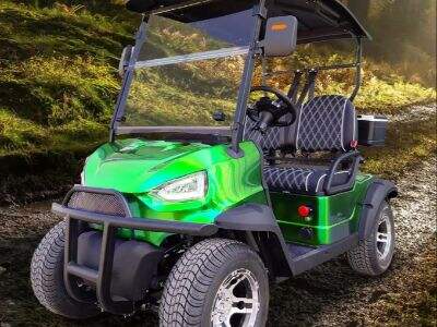 High Quality Buggy Electric Golf Cart Supplier